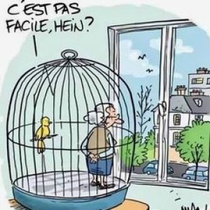 confinement en ville