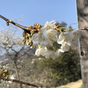 Printemps à Maison Rouge