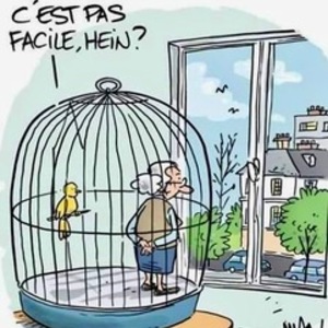 confinement en ville