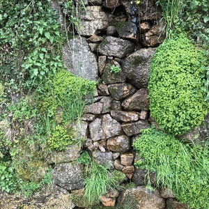 Près de la Gourdouze